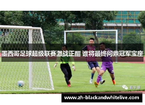 墨西哥足球超级联赛激战正酣 谁将最终问鼎冠军宝座 墨西哥足球超级联赛激战正酣 谁将最终问鼎冠军宝座