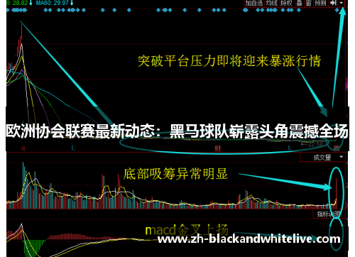 欧洲协会联赛最新动态:黑马球队崭露头角震撼全场 欧洲协会联赛最新动态:黑马球队崭露头角震撼全场