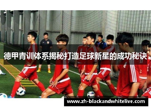 德甲青训体系揭秘打造足球新星的成功秘诀